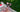 Traditional dirndl hairstyle combined with hair extensions – Rubin Extensions®