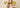 A look back at last year’s most popular hairstyle trends – Rubin Extensions®