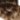 Root detail of Fashion Line clip-ins in Black-Brown & Light Brown Caramel – Rubin Extensions®